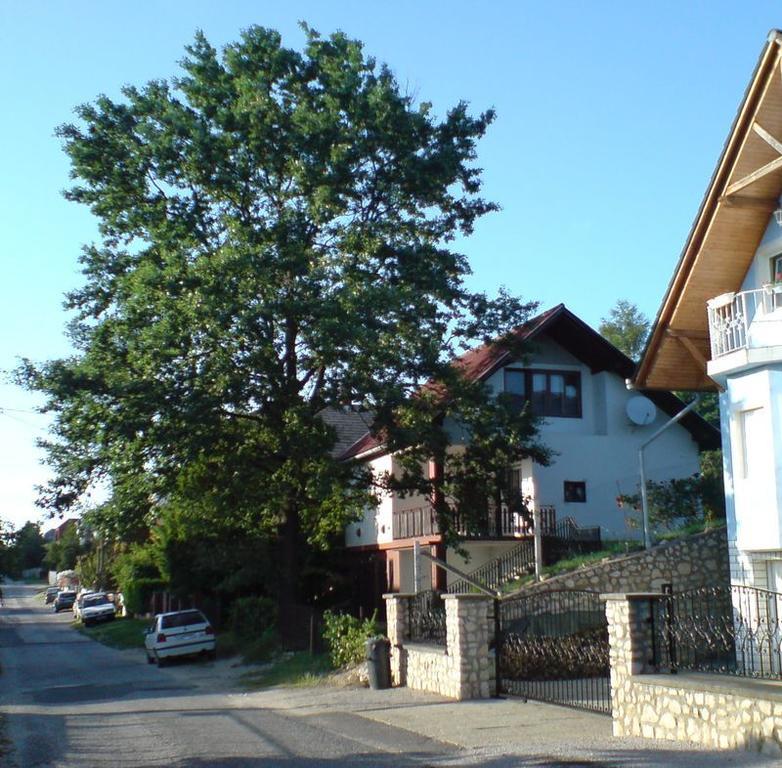 Budai Garden House Hévíz الغرفة الصورة