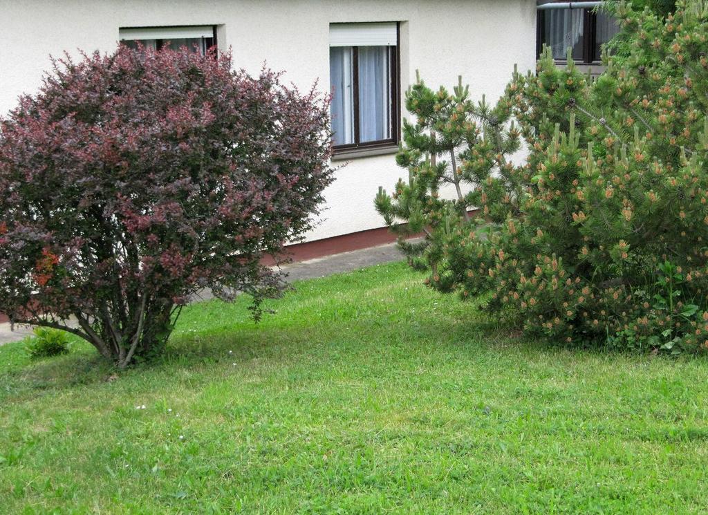 Budai Garden House Hévíz الغرفة الصورة