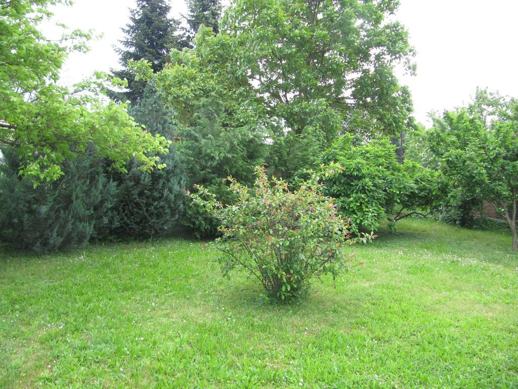 Budai Garden House Hévíz الغرفة الصورة